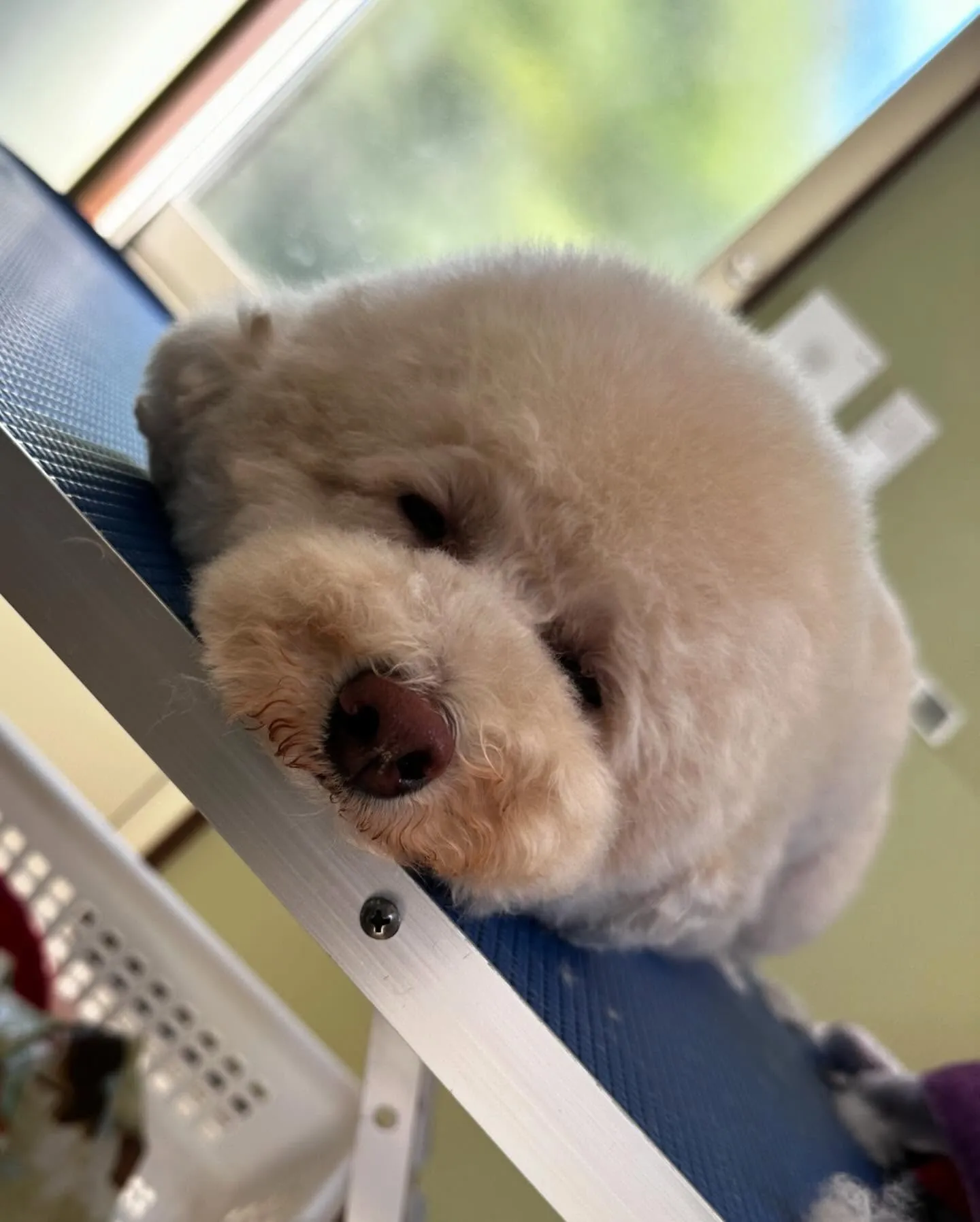 7月の営業カレンダーができあがりました🎶