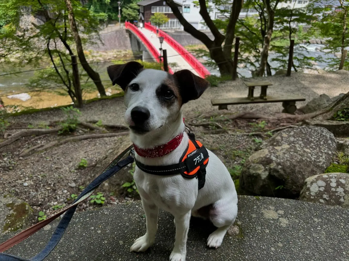 運動会イベント動画第2弾をYouTubeにアップしました🎶