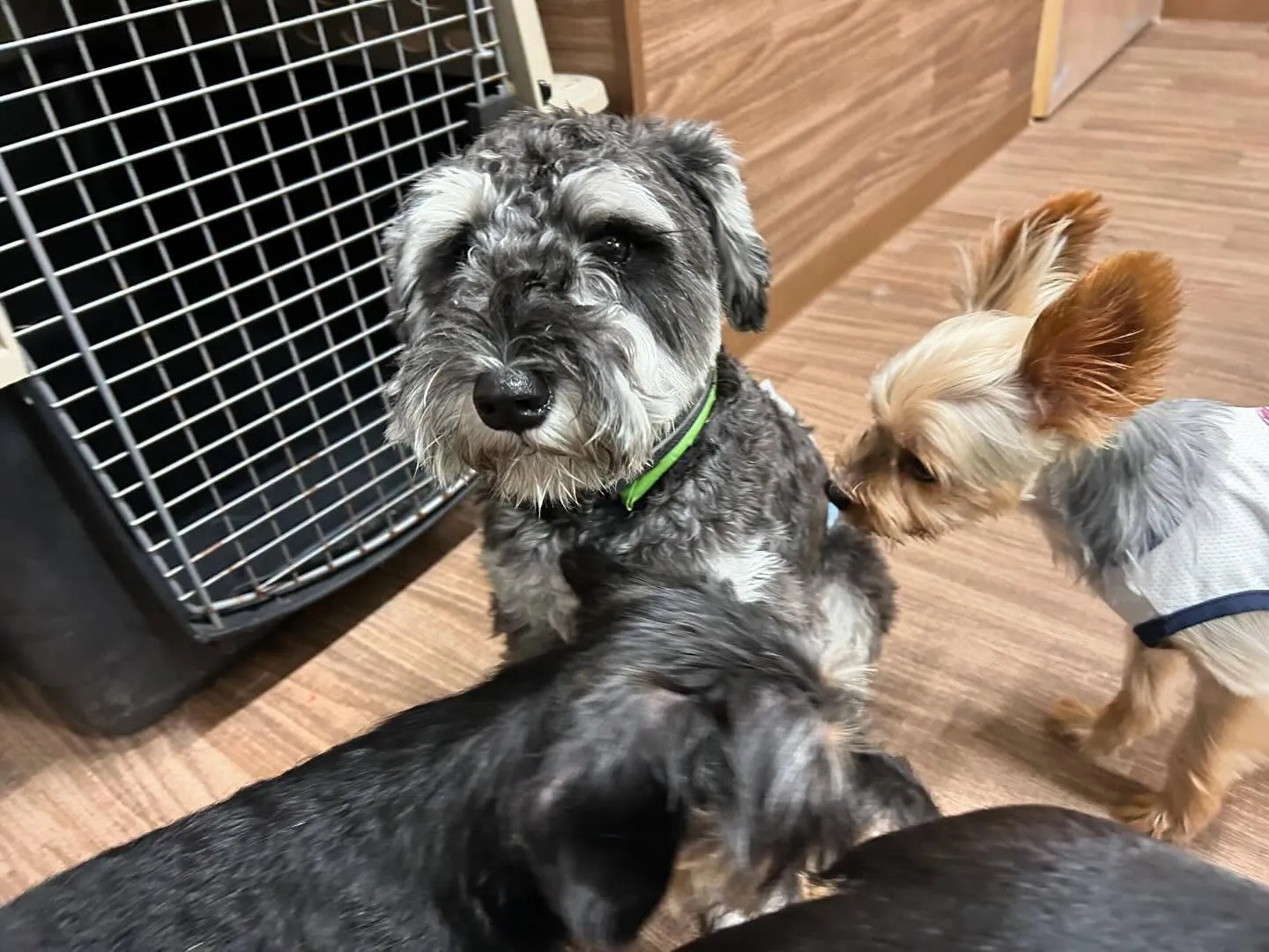 運動会イベント動画第2弾をYouTubeにアップしました🎶