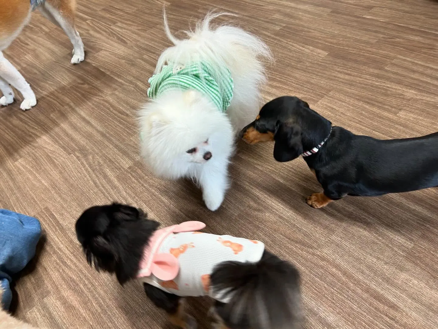 運動会イベント動画第3弾をYouTubeにアップしました❣️