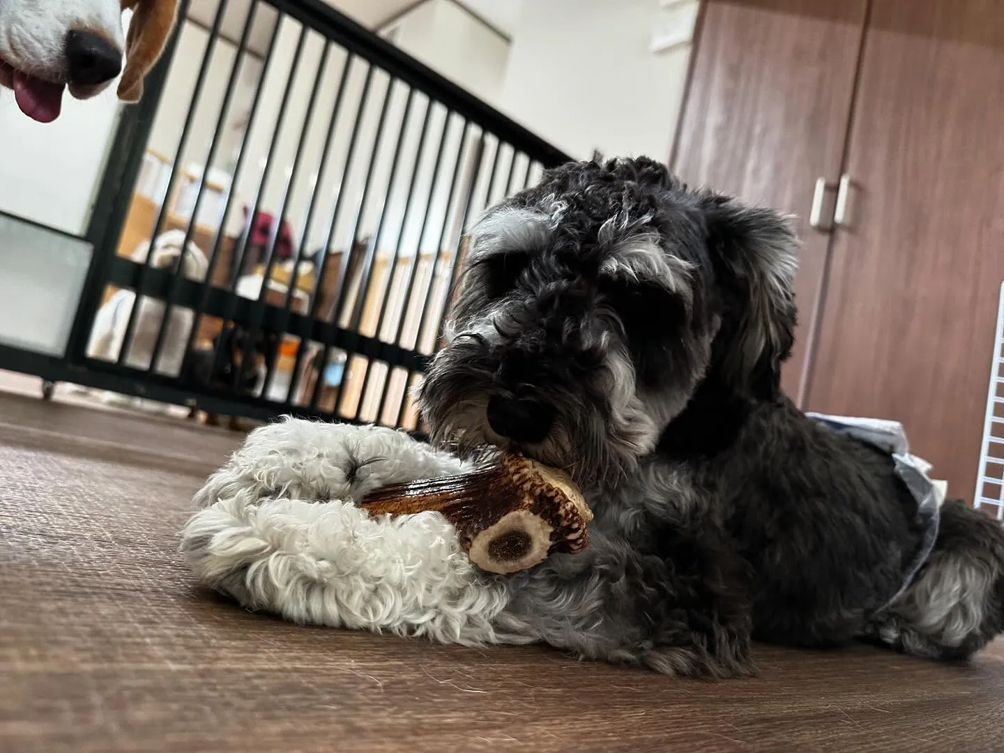 運動会イベント動画第3弾をYouTubeにアップしました❣️