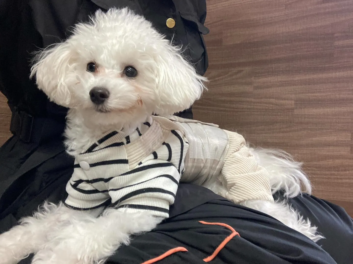 運動会イベント動画第3弾をYouTubeにアップしました❣️