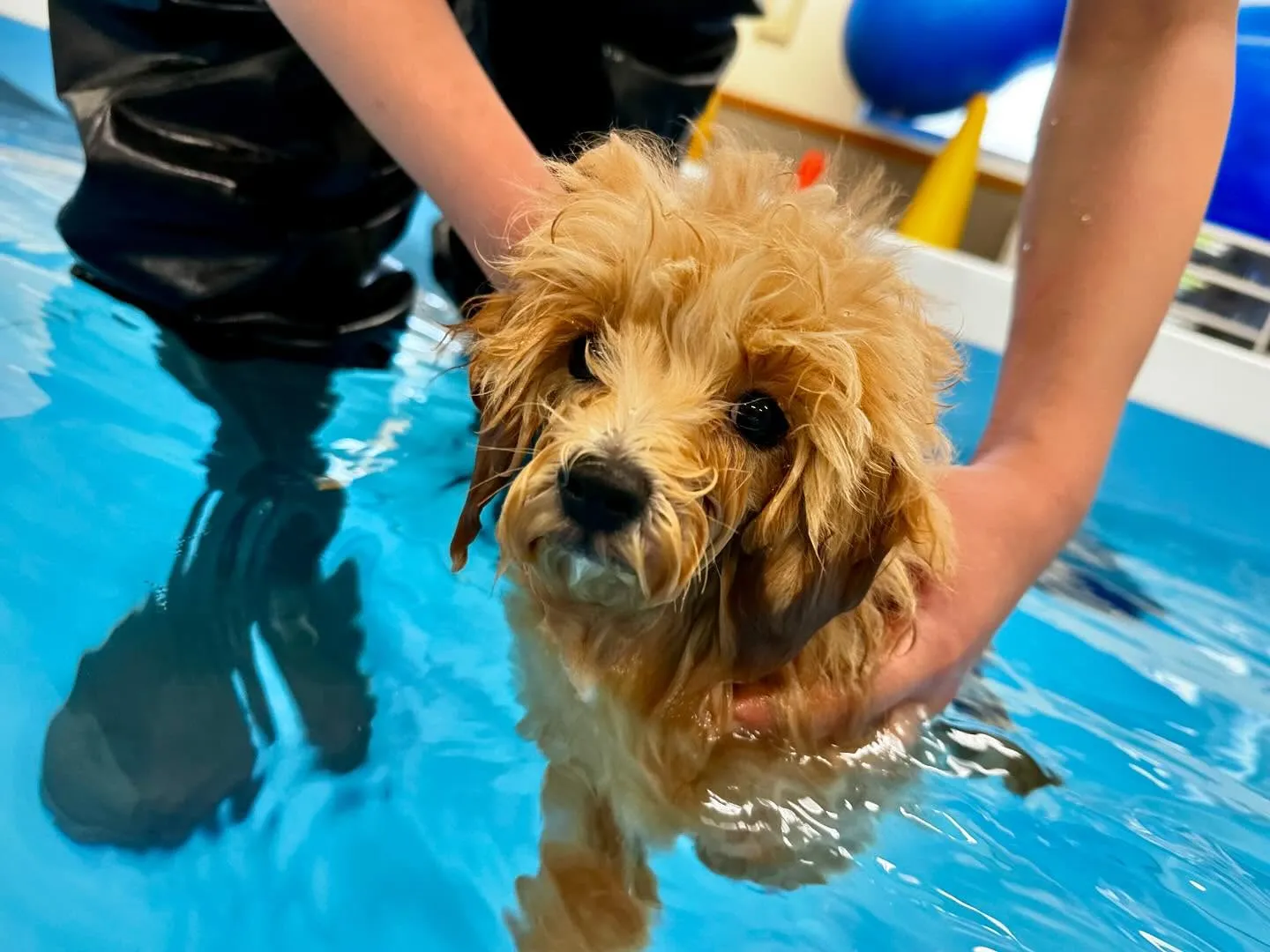 今日は専門学校dayでした🏫