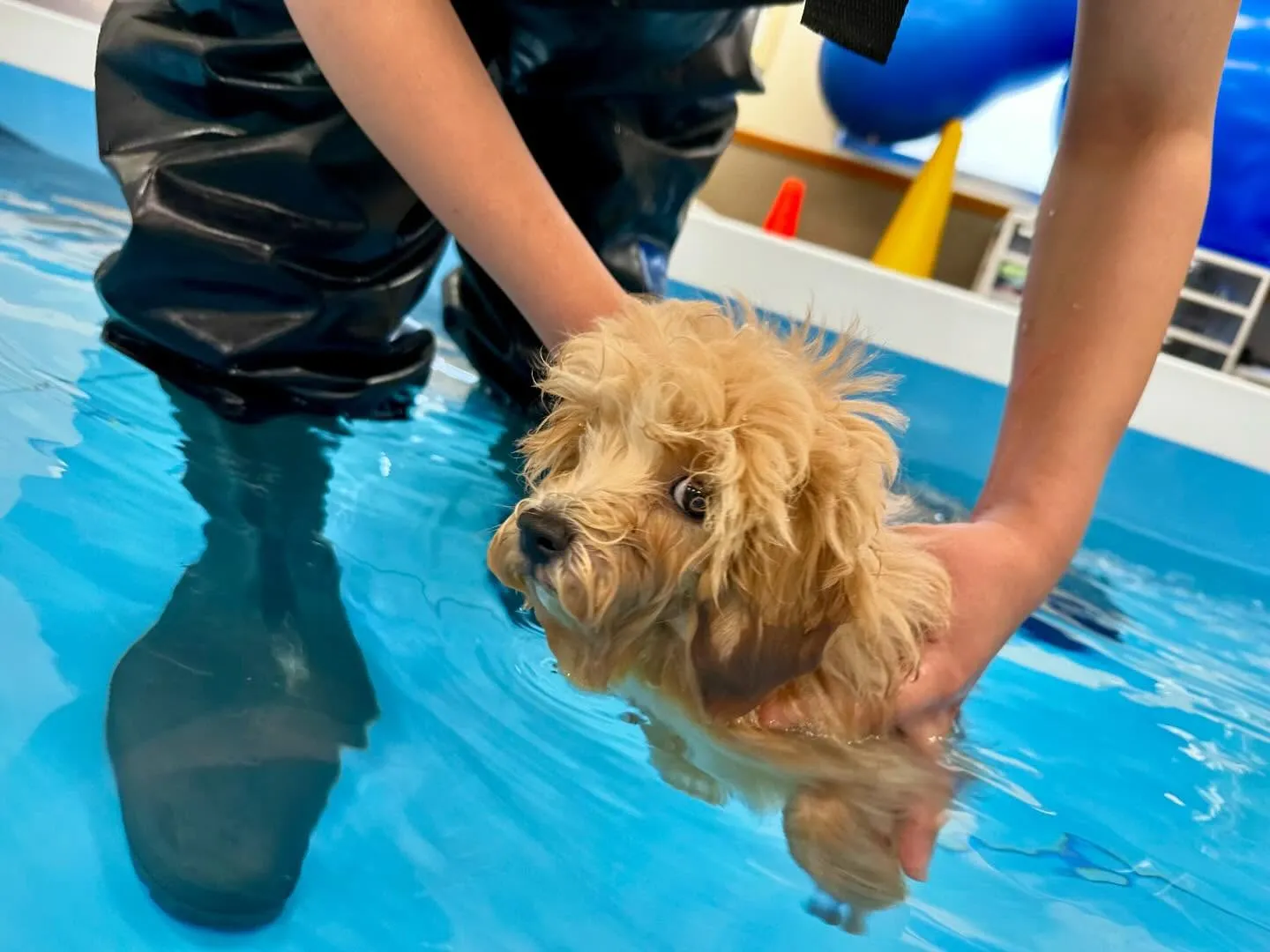 今日は専門学校dayでした🏫