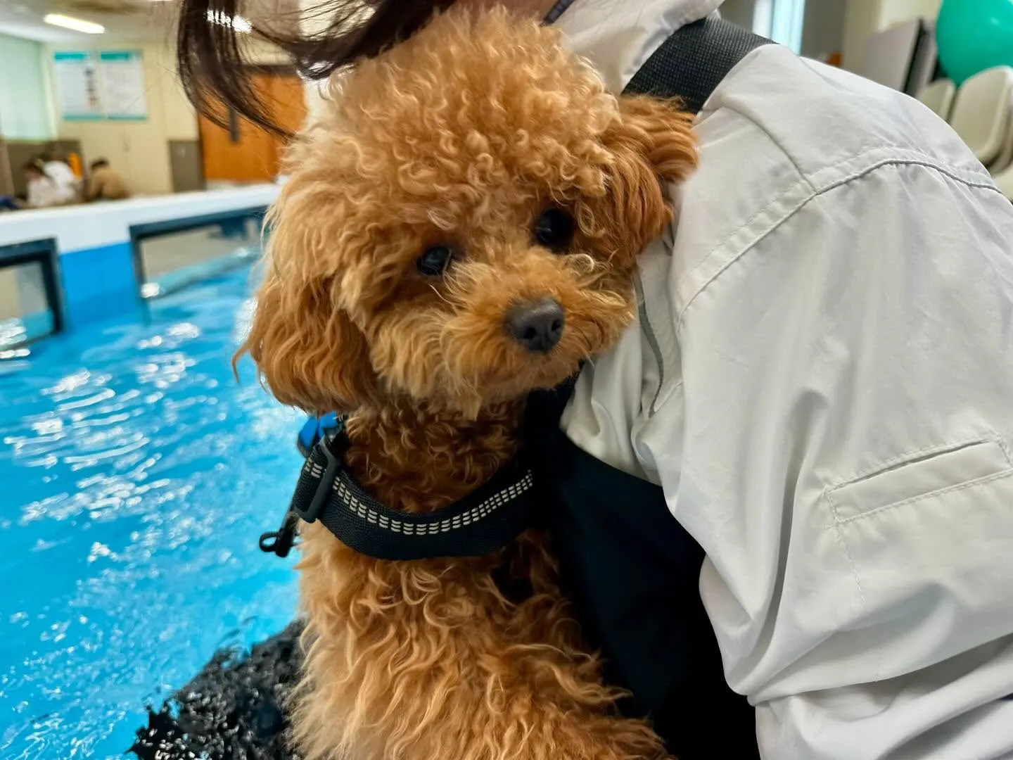 今日は専門学校dayでした🏫