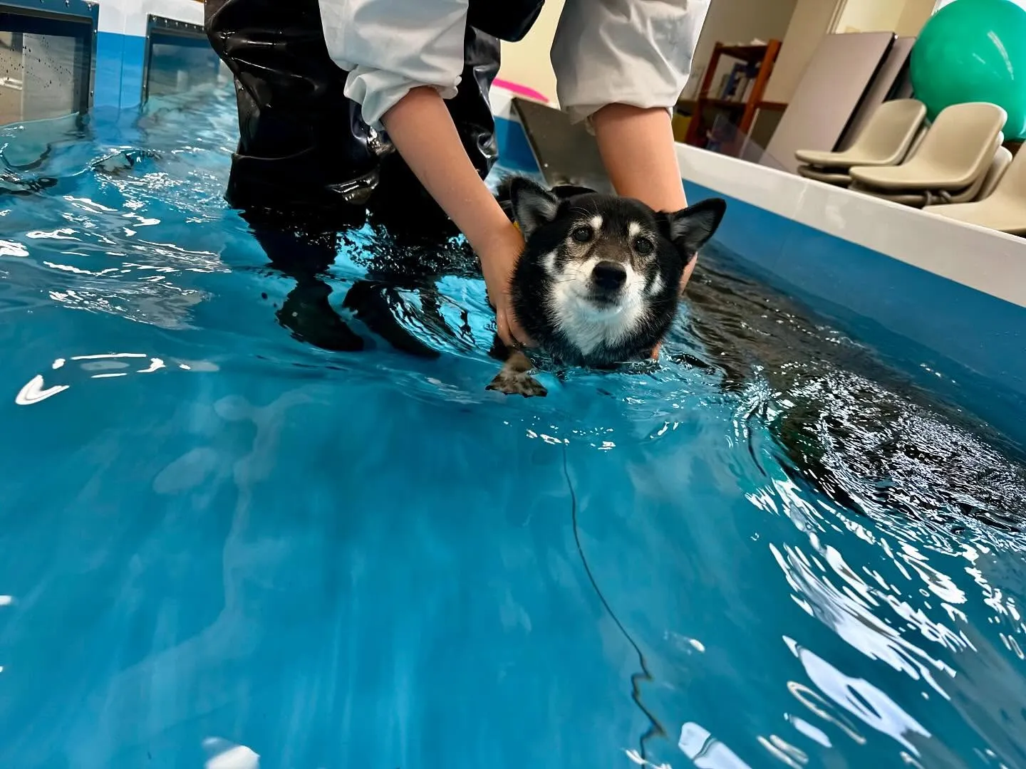 今日は専門学校dayでした🏫