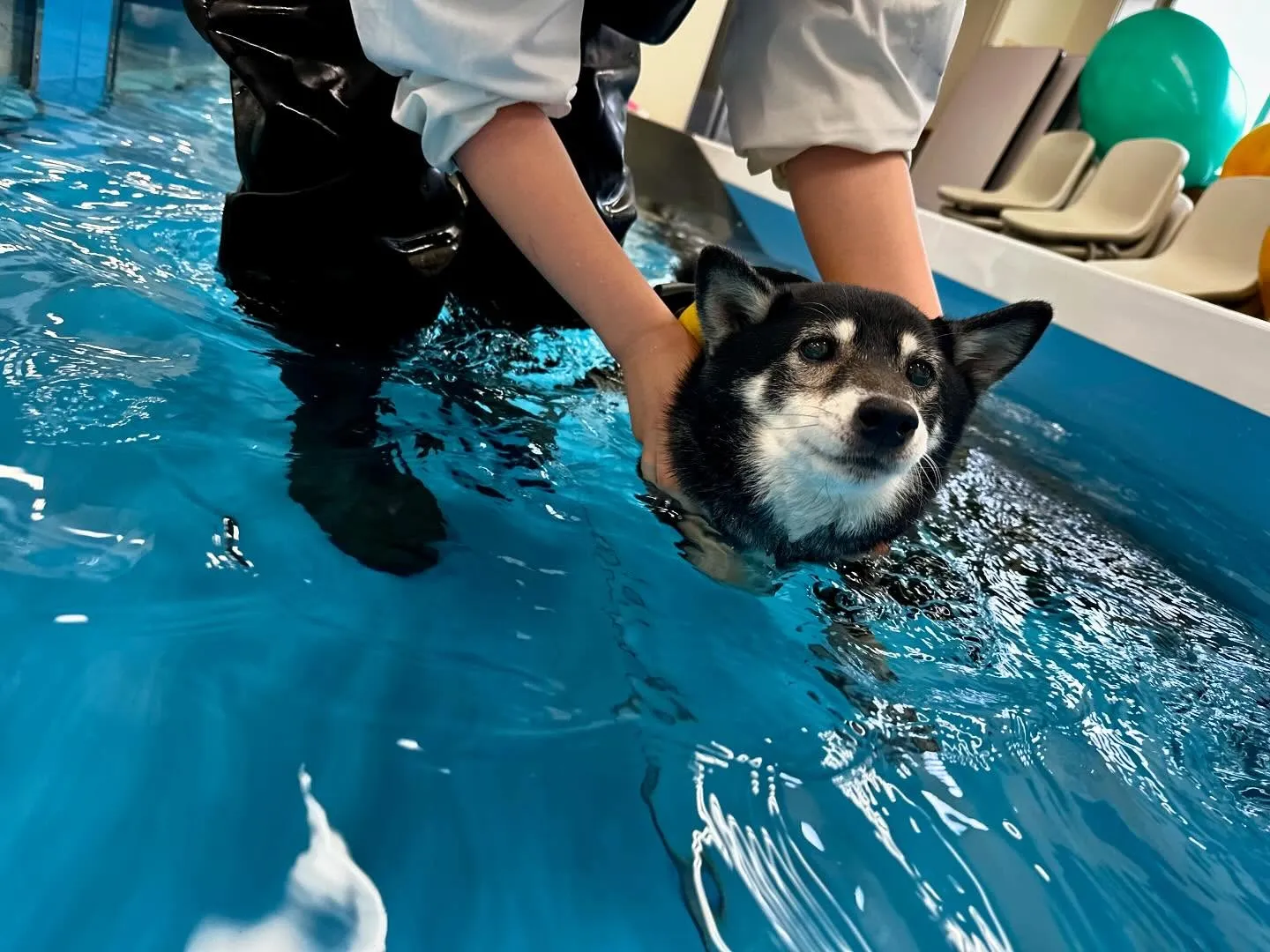 今日は専門学校dayでした🏫