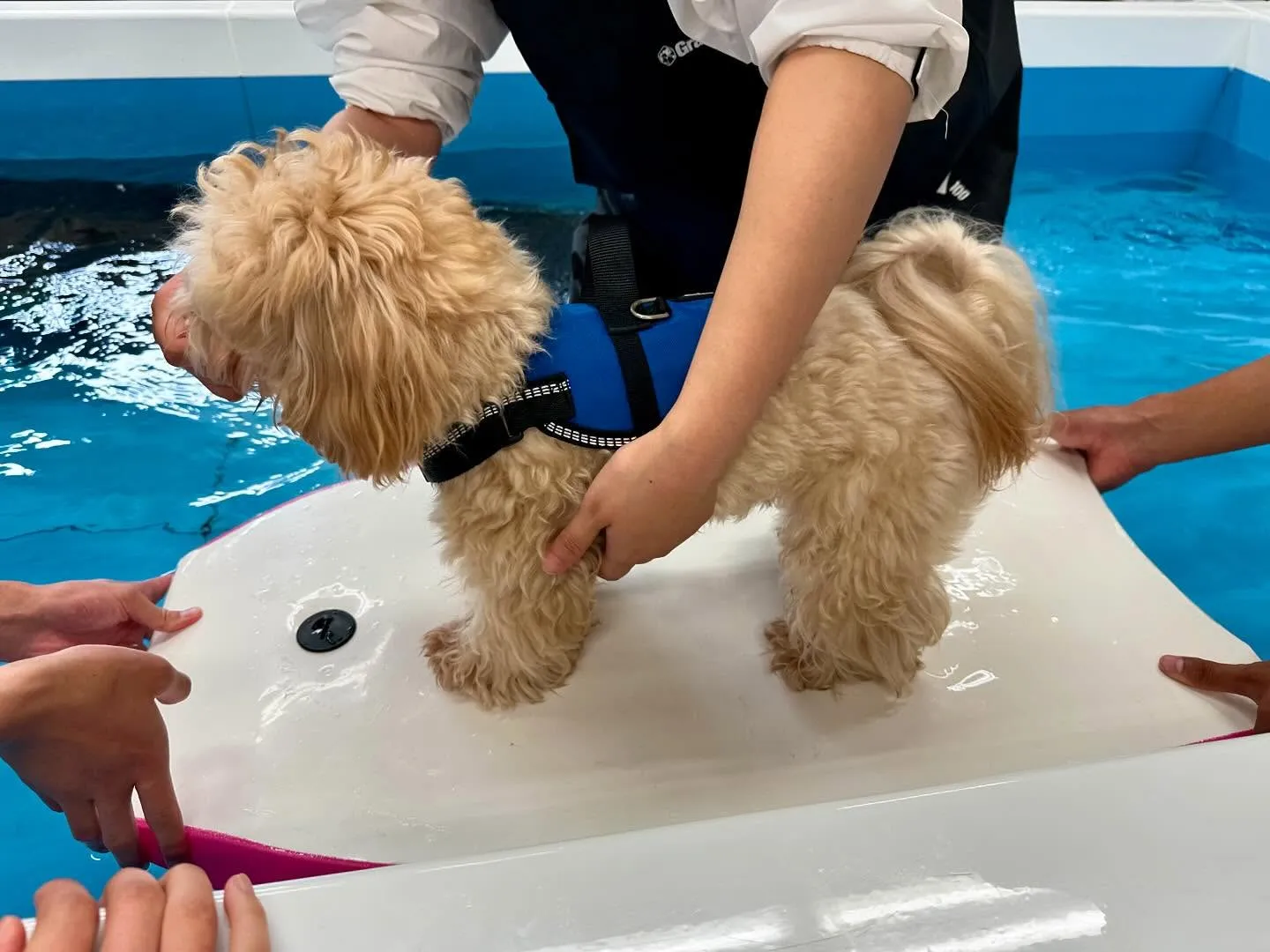 今日は専門学校dayでした🏫