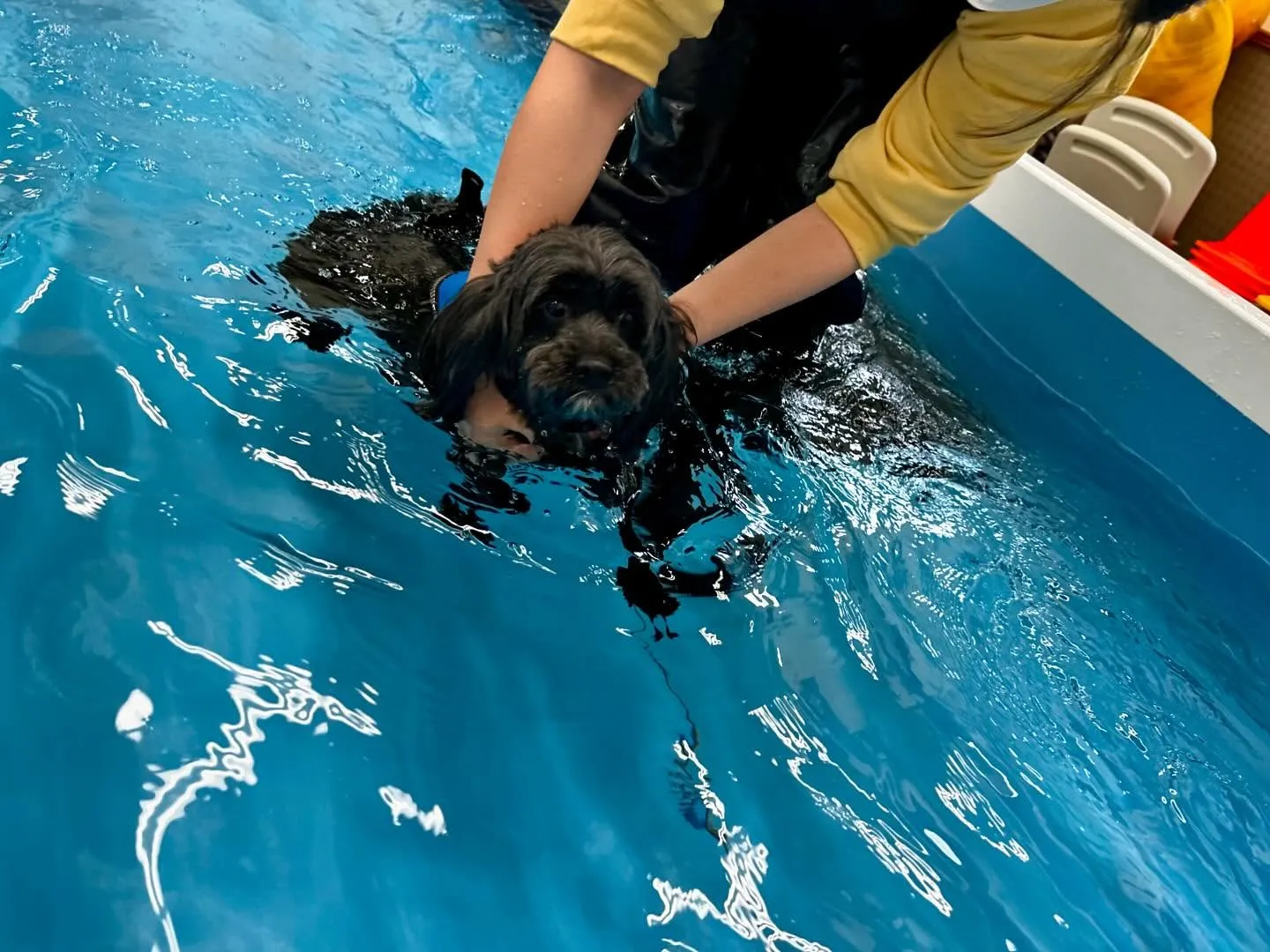 今日は専門学校dayでした🏫
