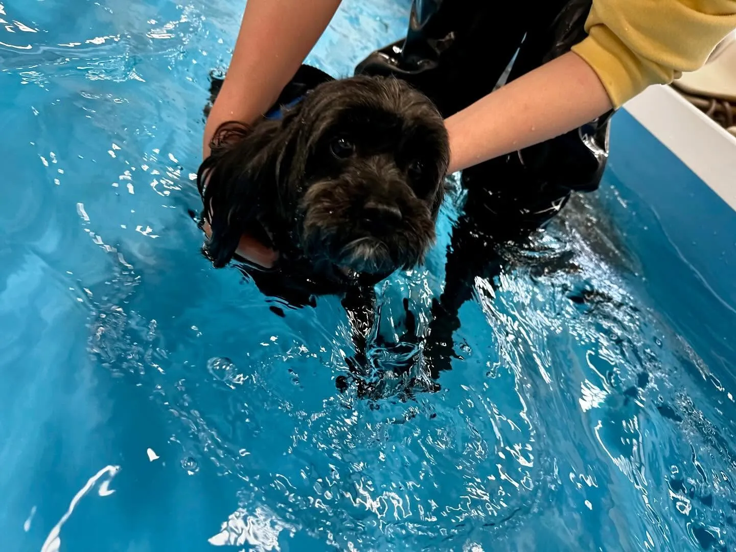 今日は専門学校dayでした🏫