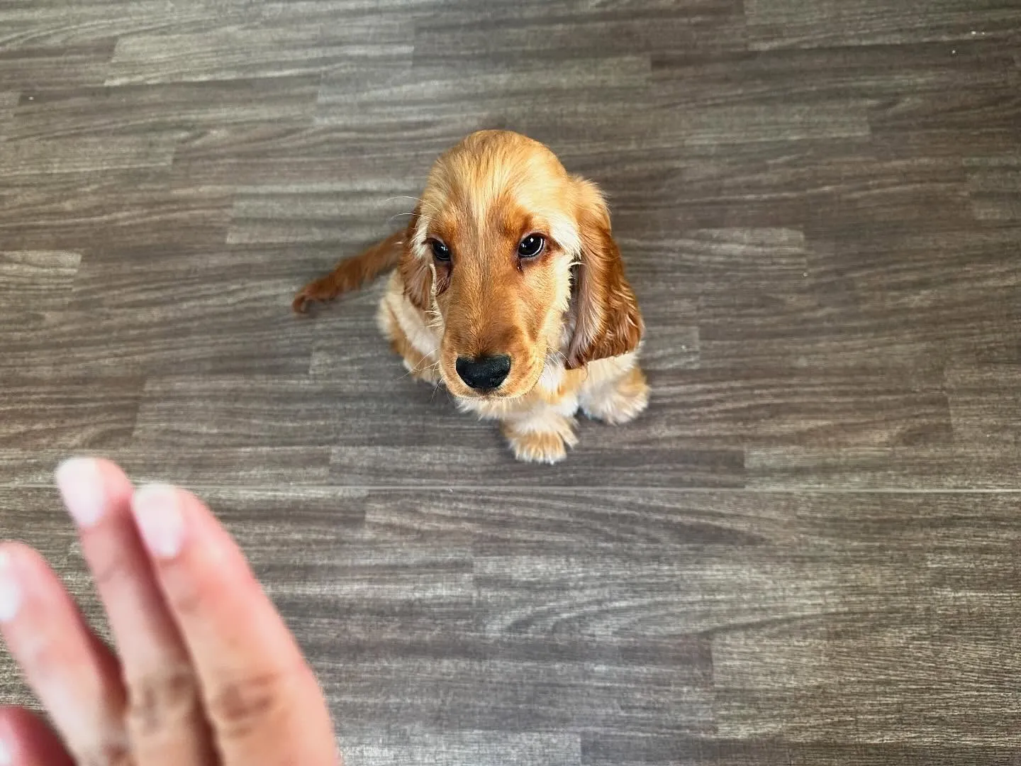 入会してくれたユールくんです💕