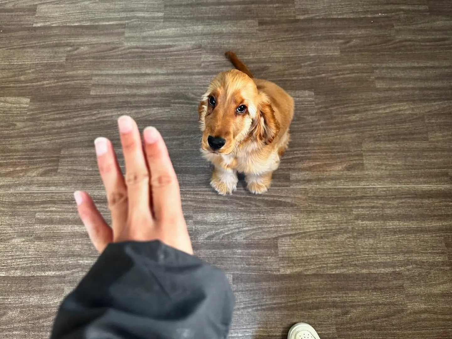 入会してくれたユールくんです💕