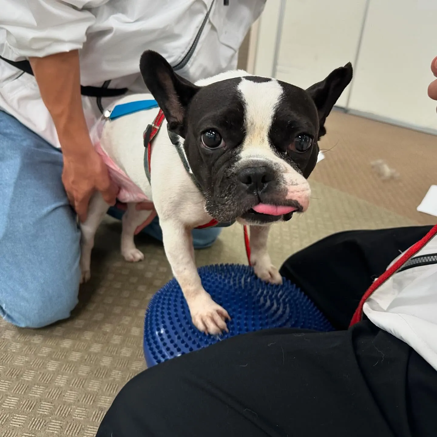 今日は専門学校dayでした🏫