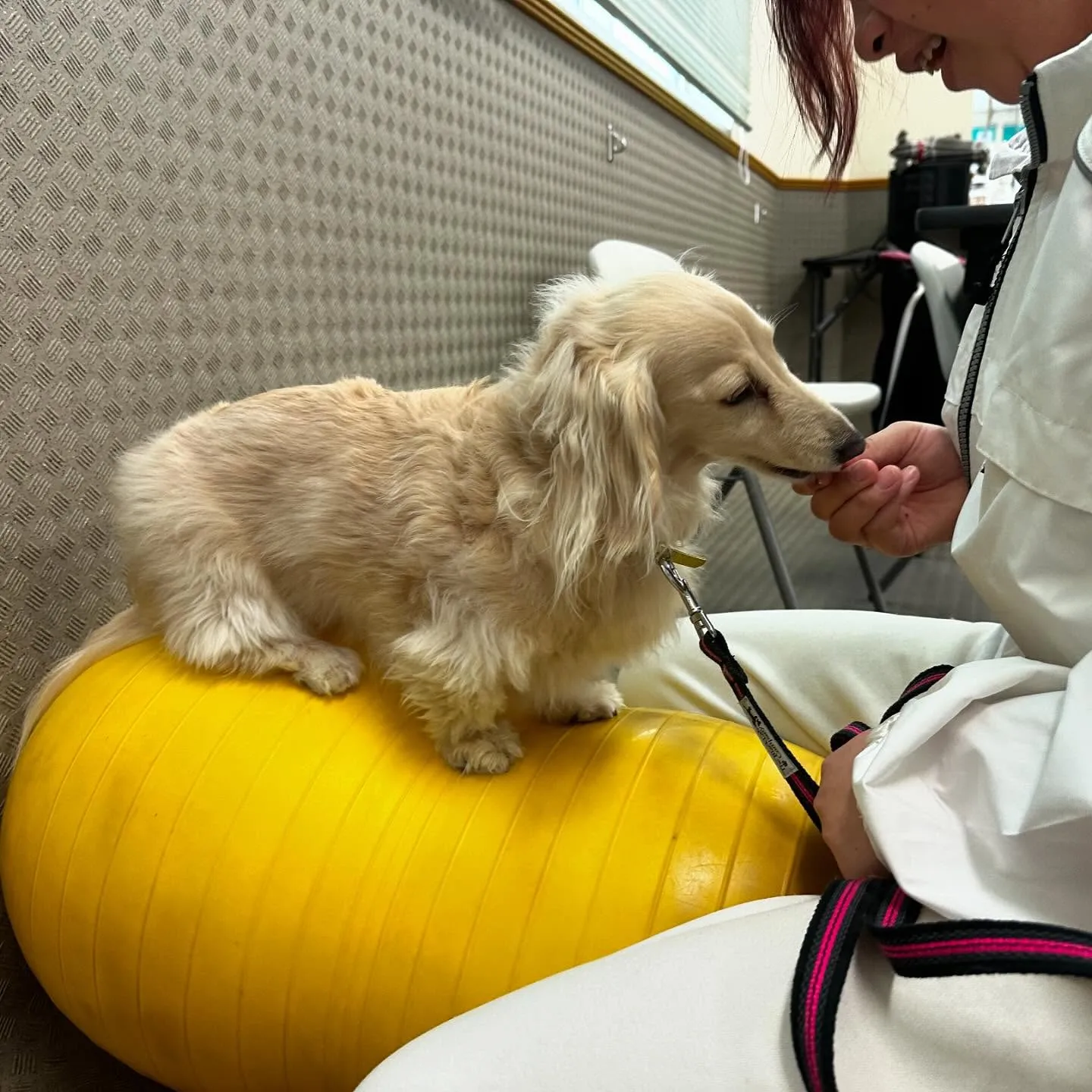 今日は専門学校dayでした🏫
