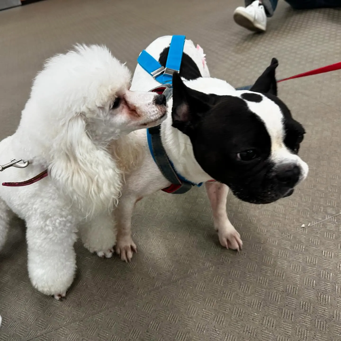 今日は専門学校dayでした🏫