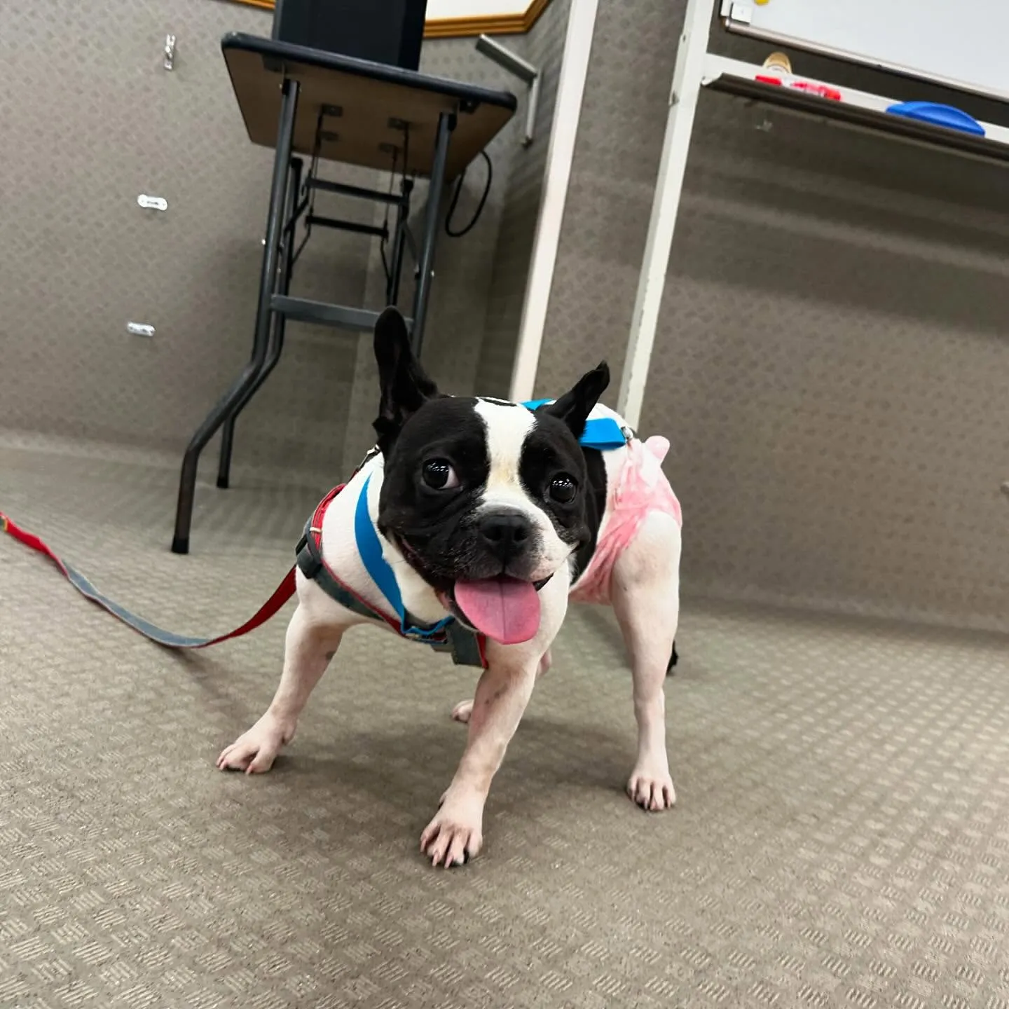 今日は専門学校dayでした🏫