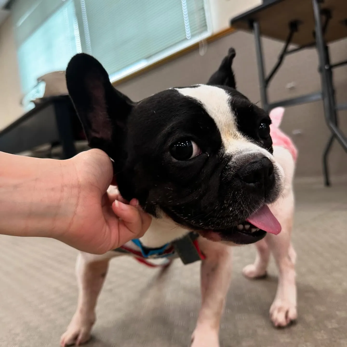 今日は専門学校dayでした🏫