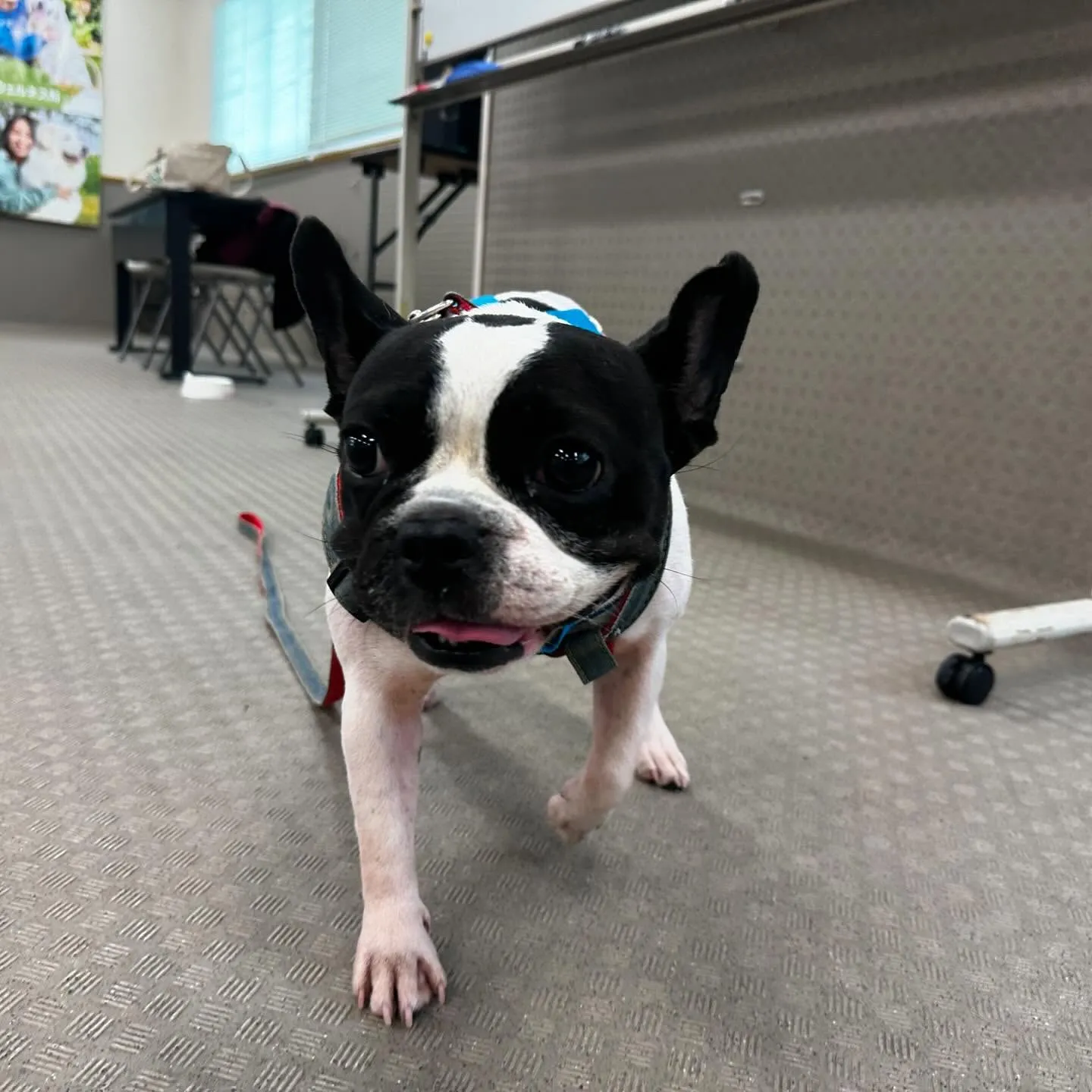 今日は専門学校dayでした🏫