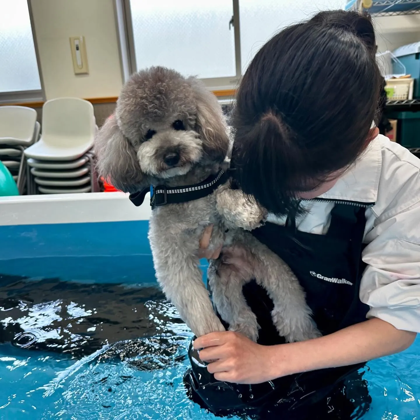 今日は専門学校dayでした🏫