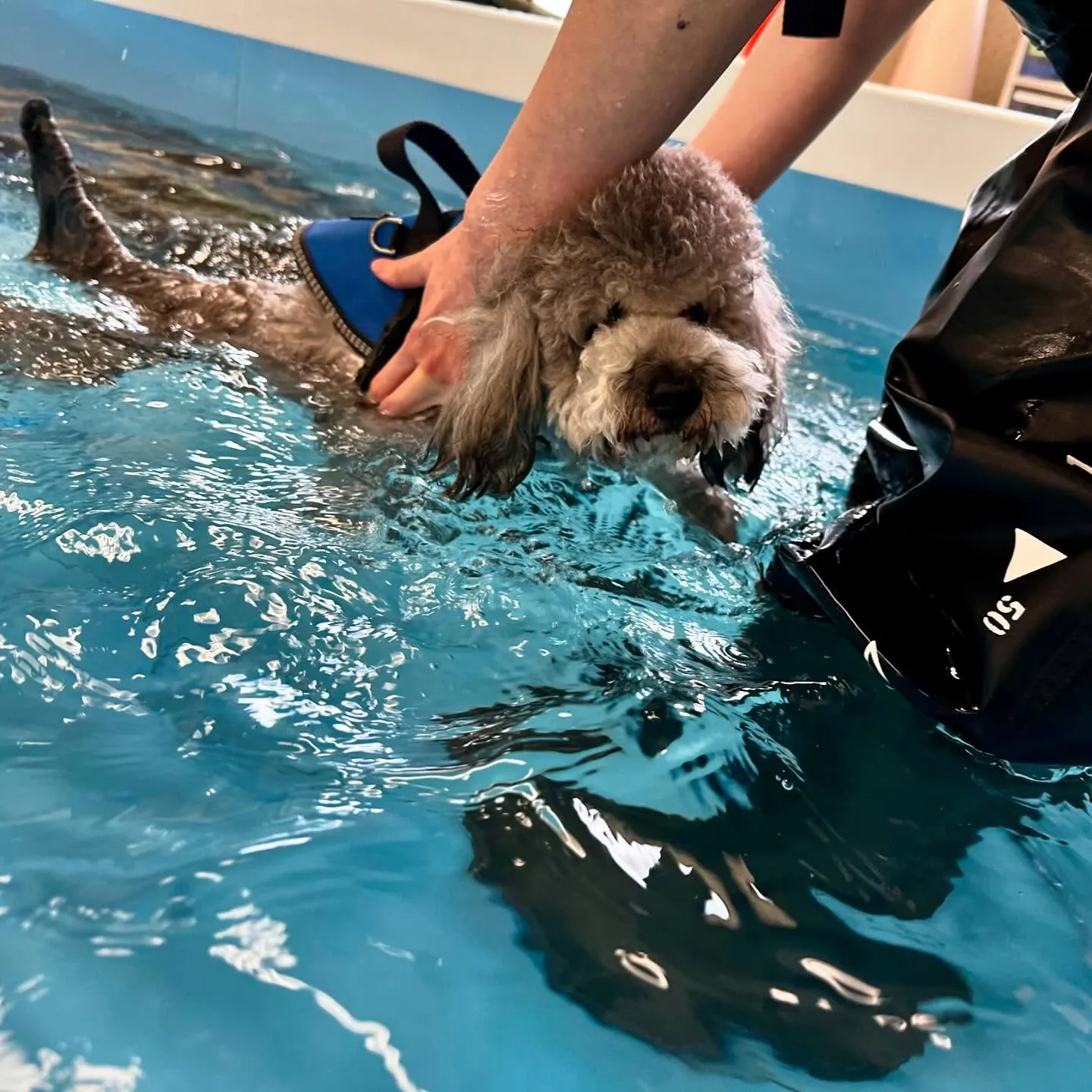 今日は専門学校dayでした🏫