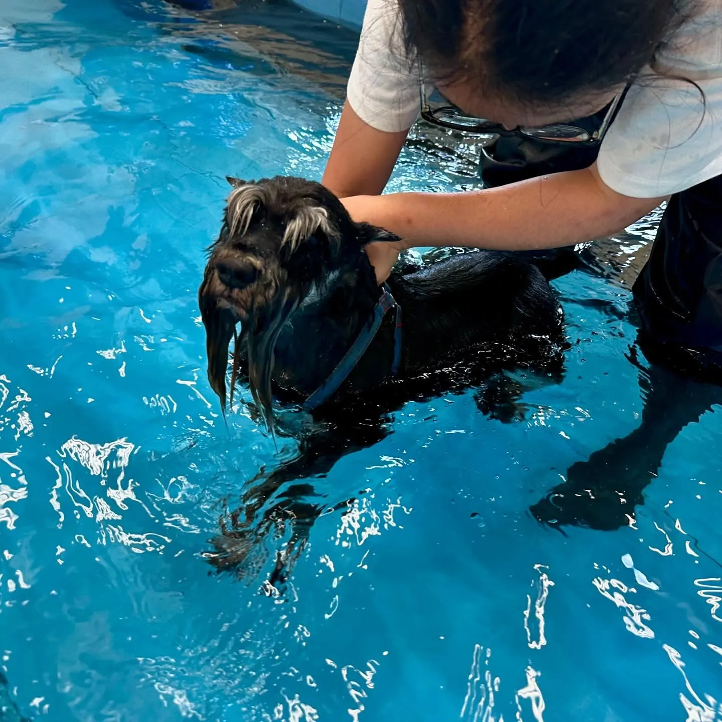 今日は専門学校dayでした🏫