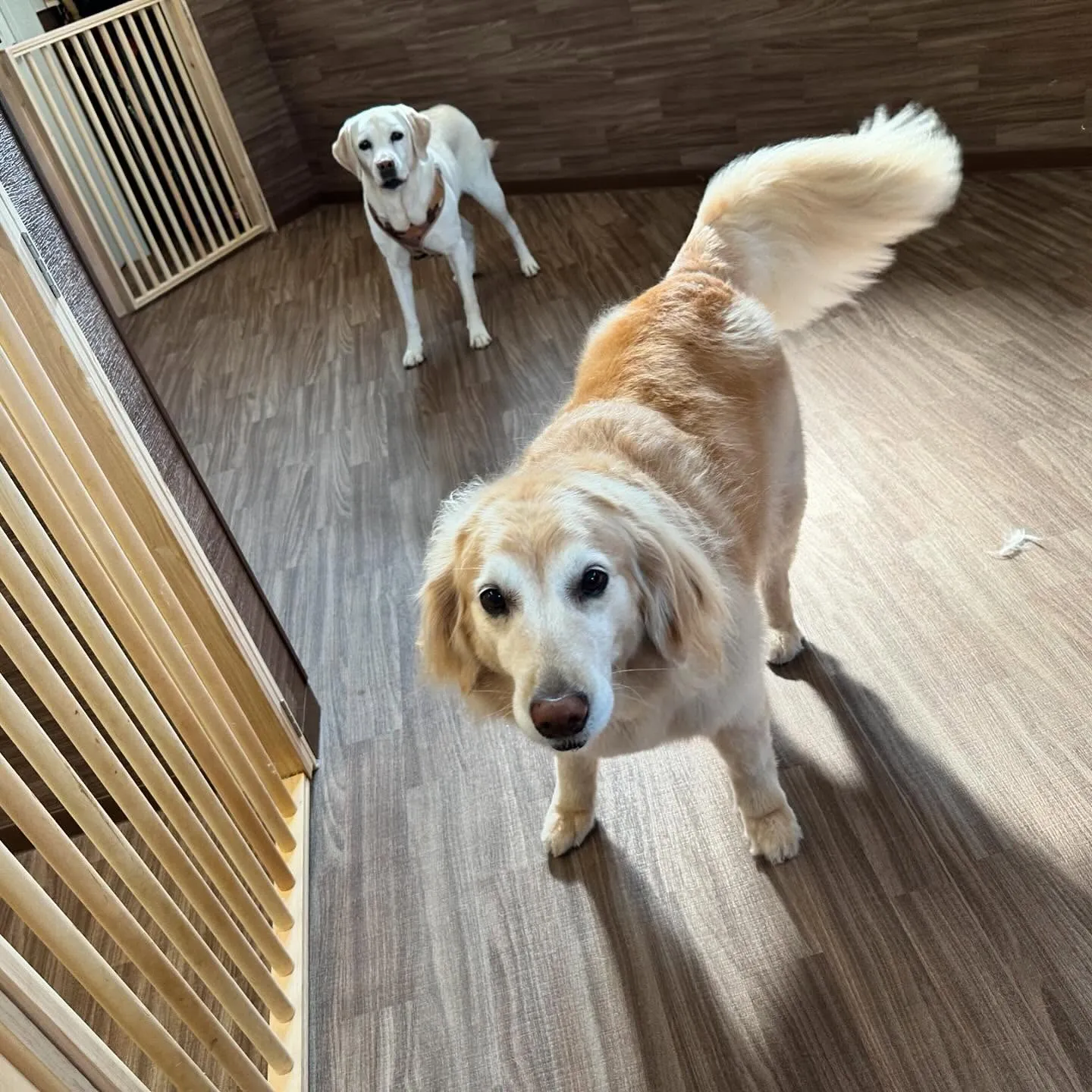 今日からなつも一緒に家族で1泊2日の旅行に行ってまいります🚗...