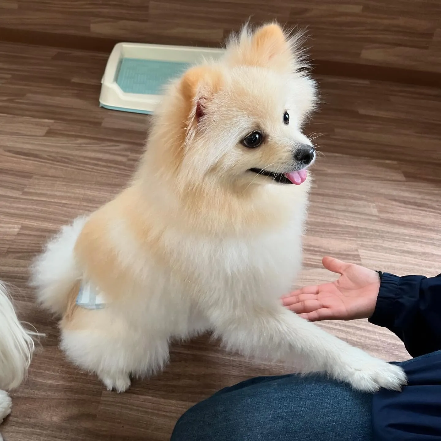 今日からなつも一緒に家族で1泊2日の旅行に行ってまいります🚗...