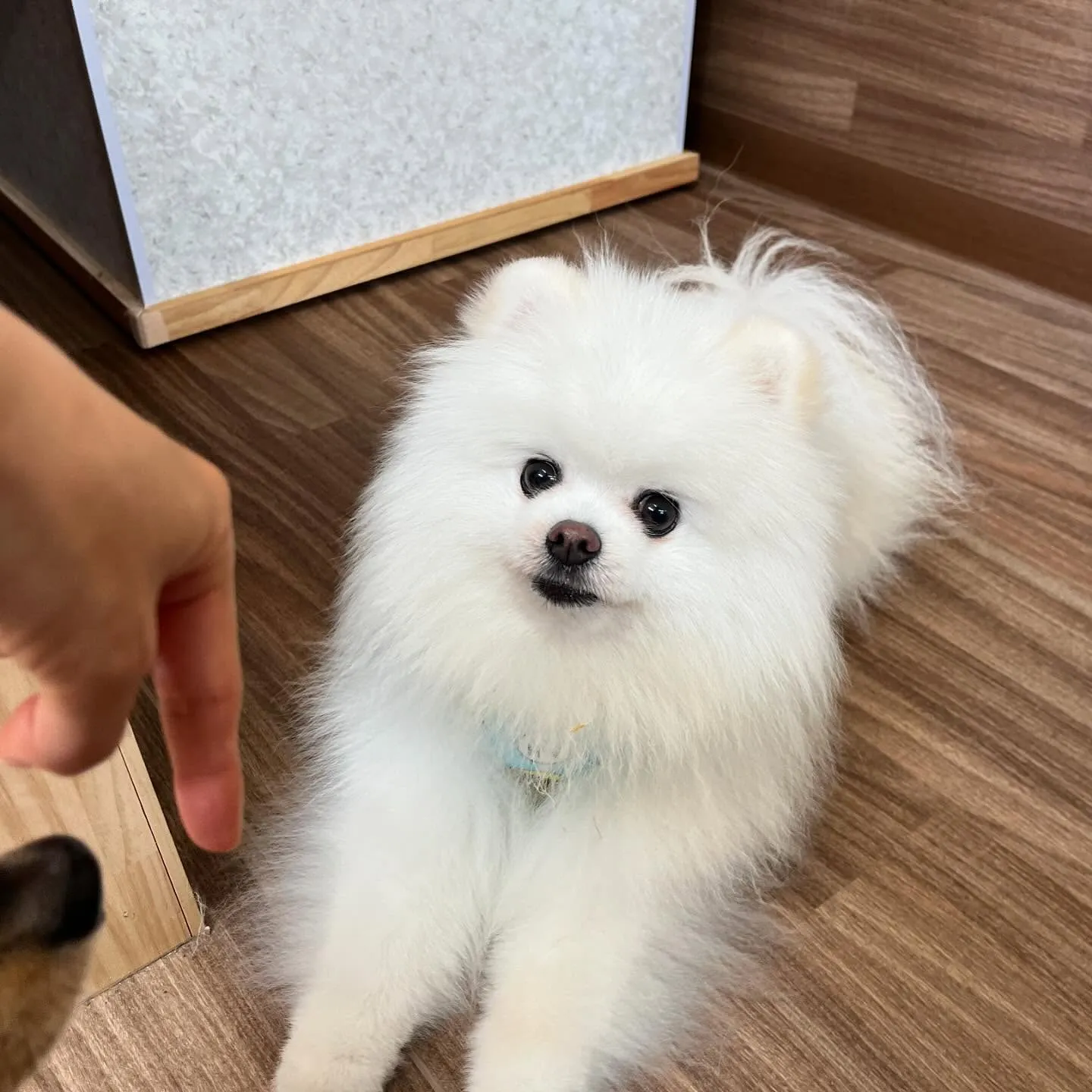 今日からなつも一緒に家族で1泊2日の旅行に行ってまいります🚗...