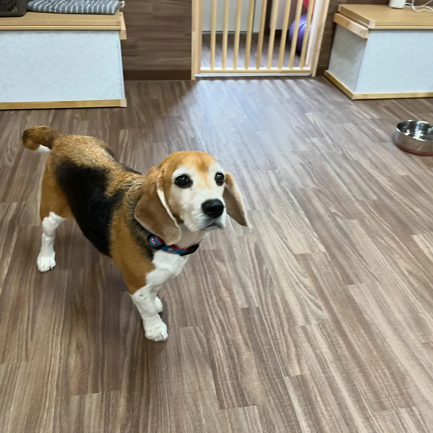 今日からなつも一緒に家族で1泊2日の旅行に行ってまいります🚗...