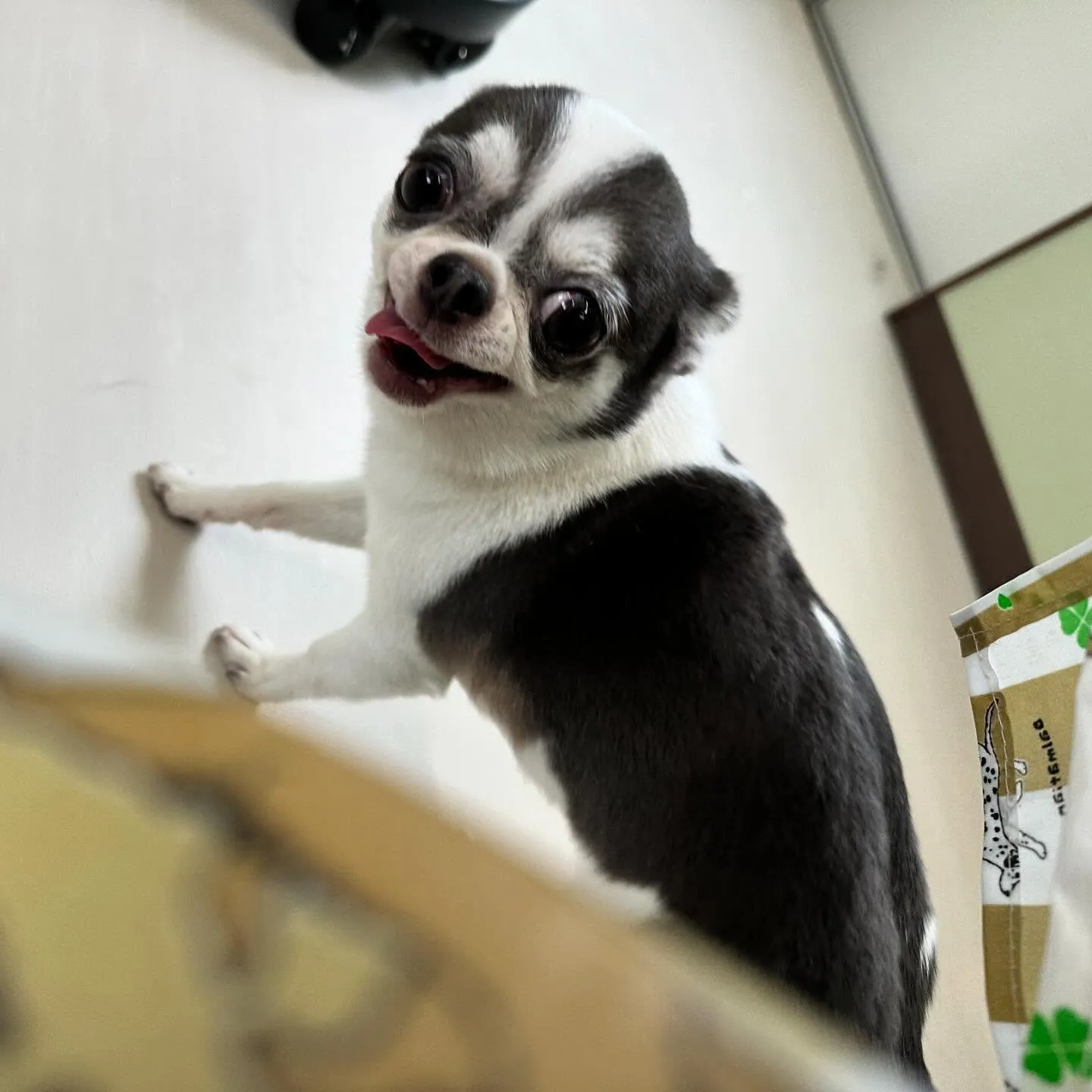 今日からなつも一緒に家族で1泊2日の旅行に行ってまいります🚗...