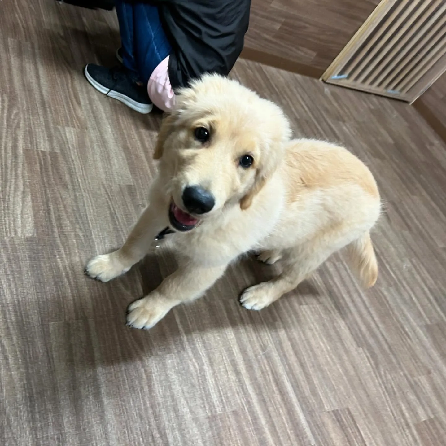 昨日、一昨日と完全なおやすみを頂きましてありがとうございまし...