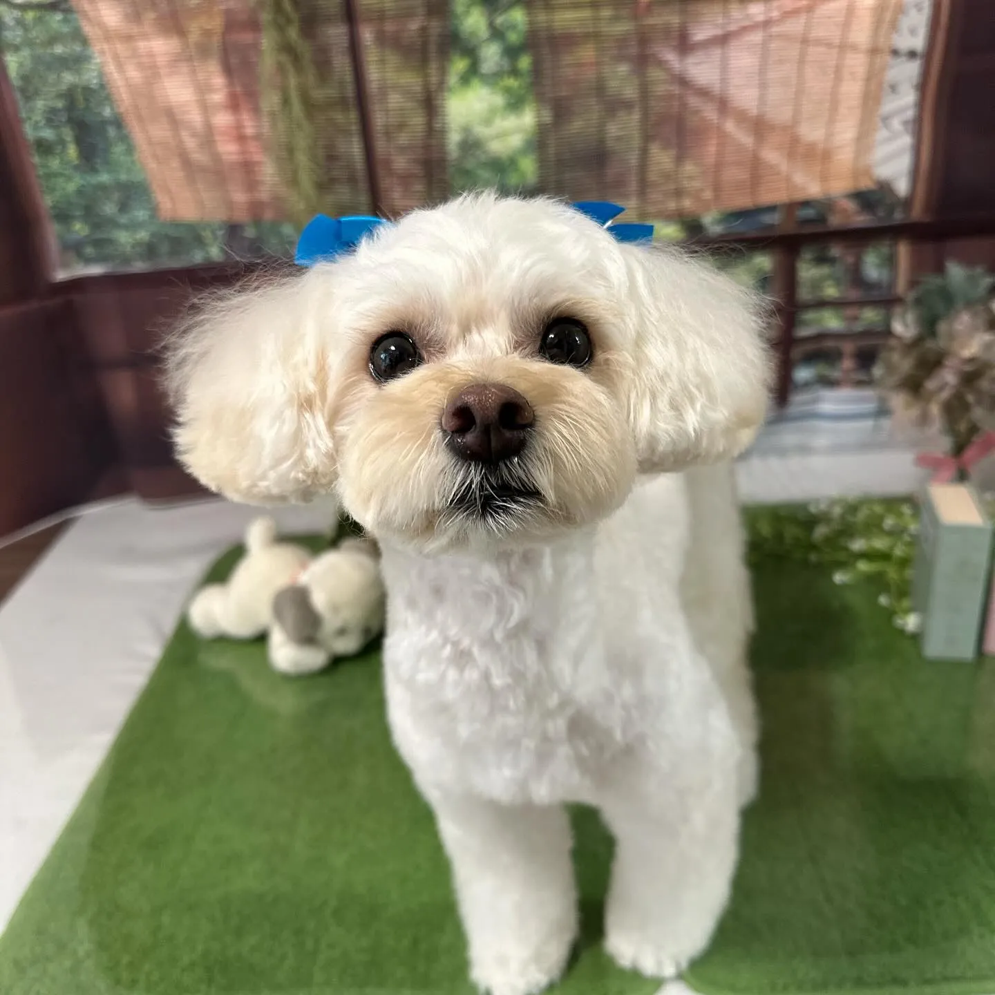 昨日、一昨日と完全なおやすみを頂きましてありがとうございまし...