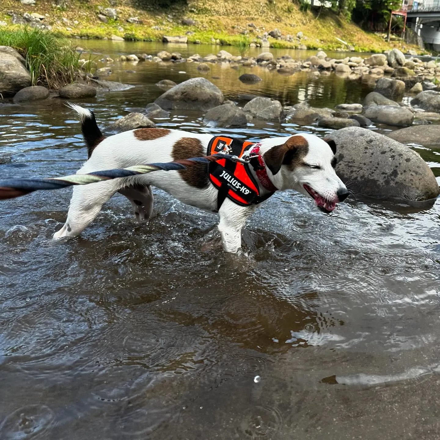 昨日、一昨日と完全なおやすみを頂きましてありがとうございまし...