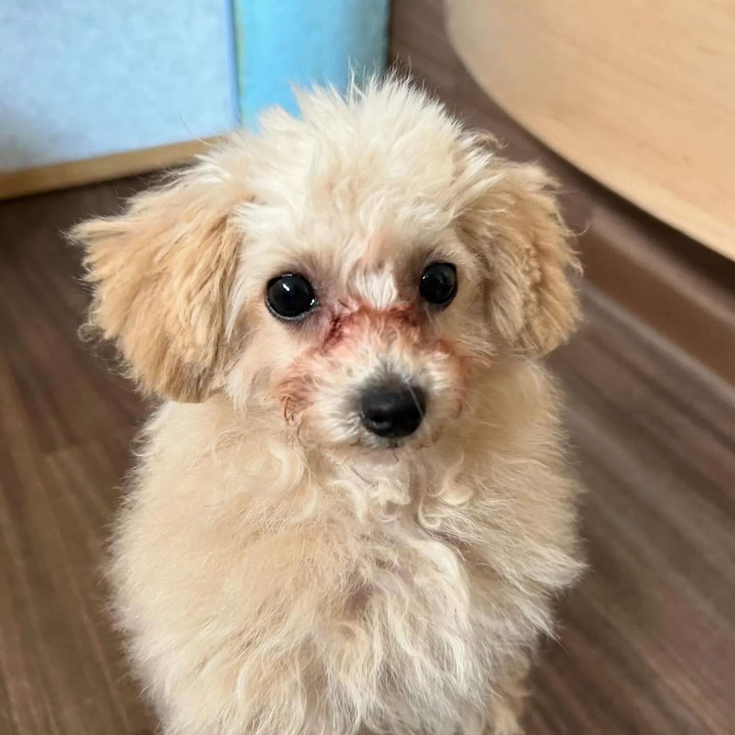 昨日、一昨日と完全なおやすみを頂きましてありがとうございまし...