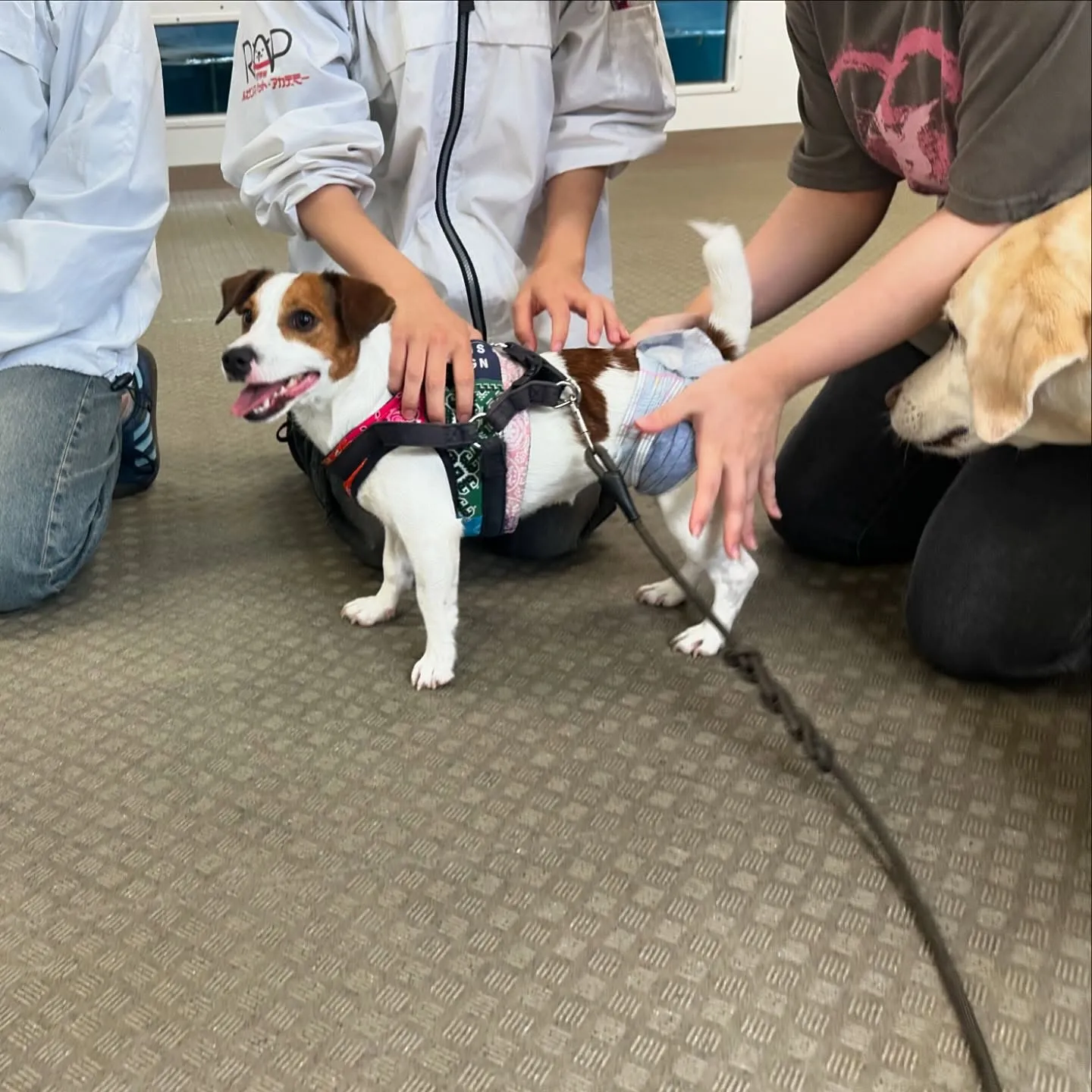 今日はマックスくんと一緒に学校に行ってきました🏫