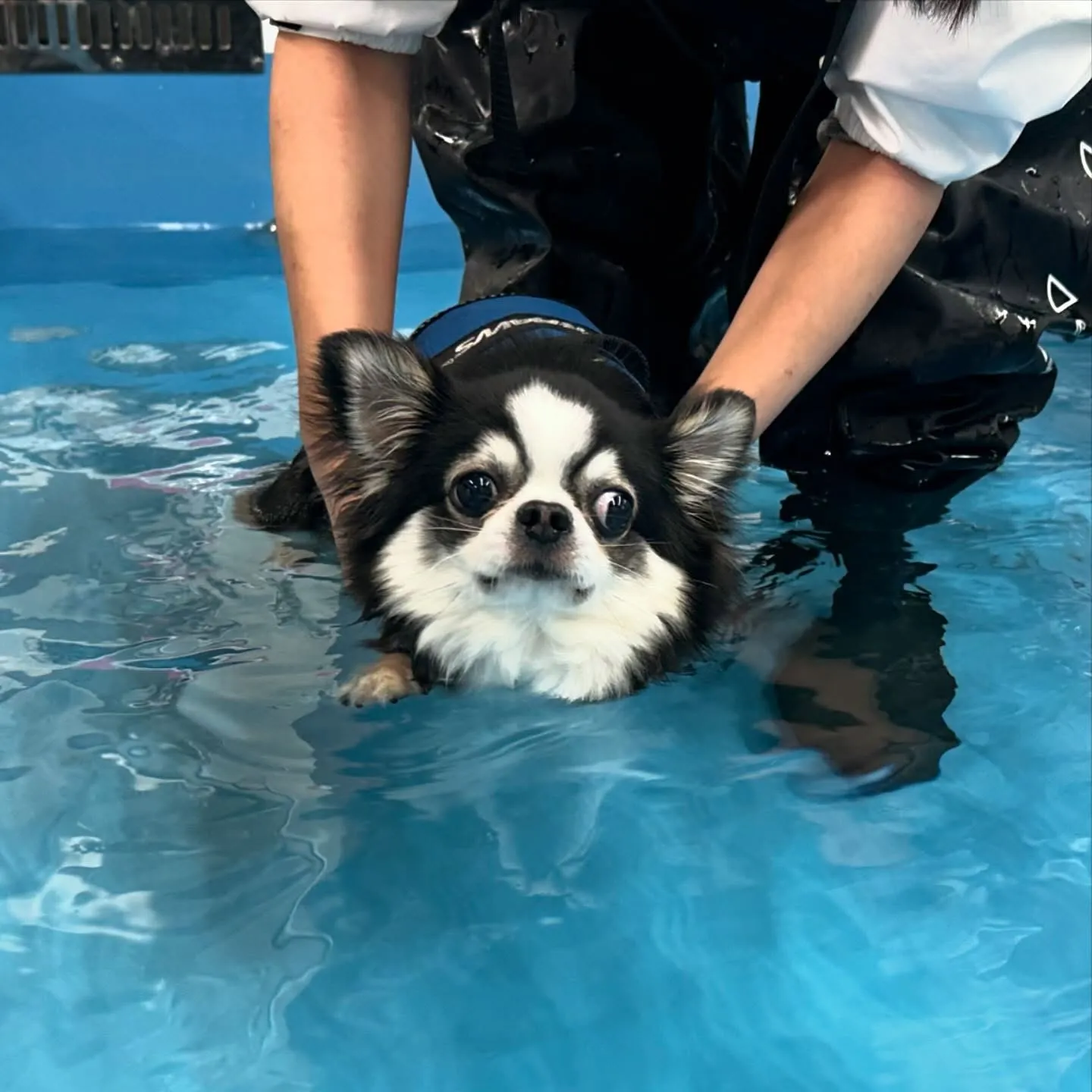 今日はマックスくんと一緒に学校に行ってきました🏫