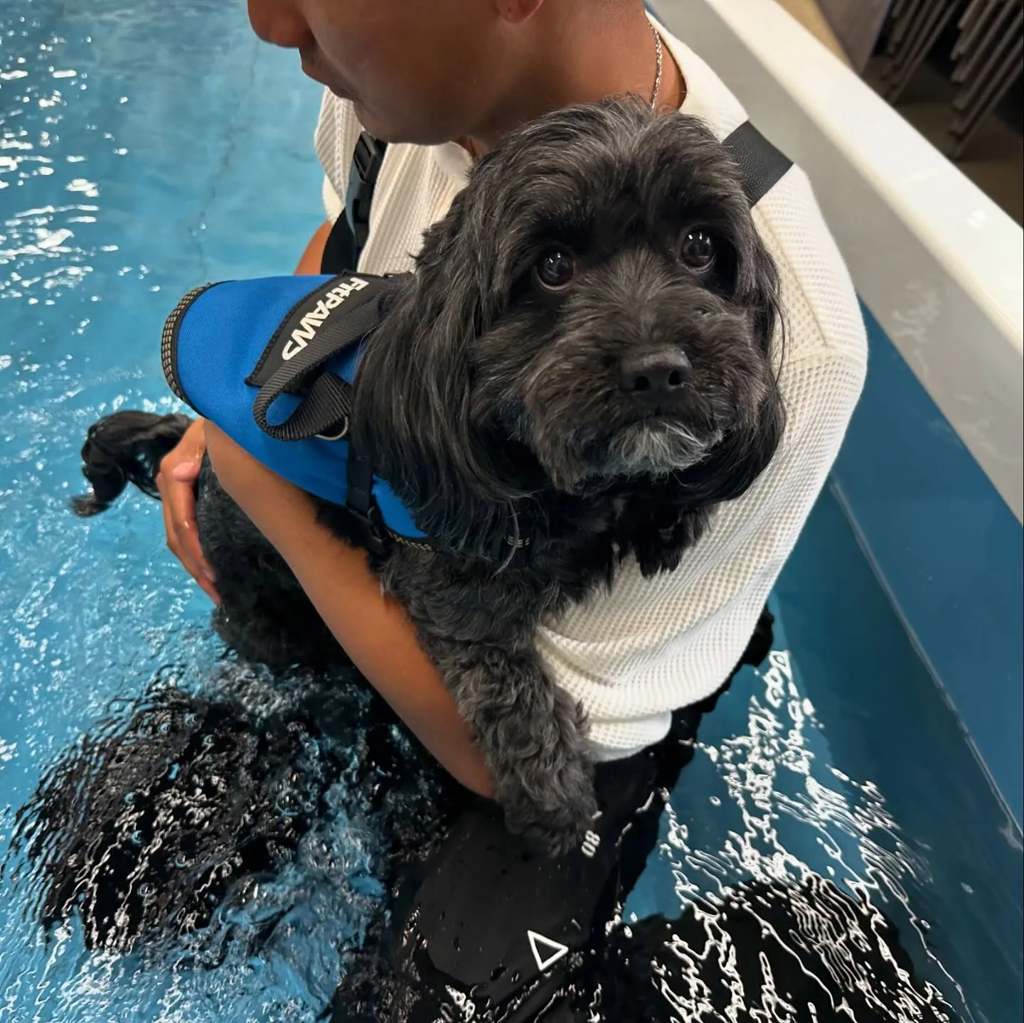 今日はマックスくんと一緒に学校に行ってきました🏫