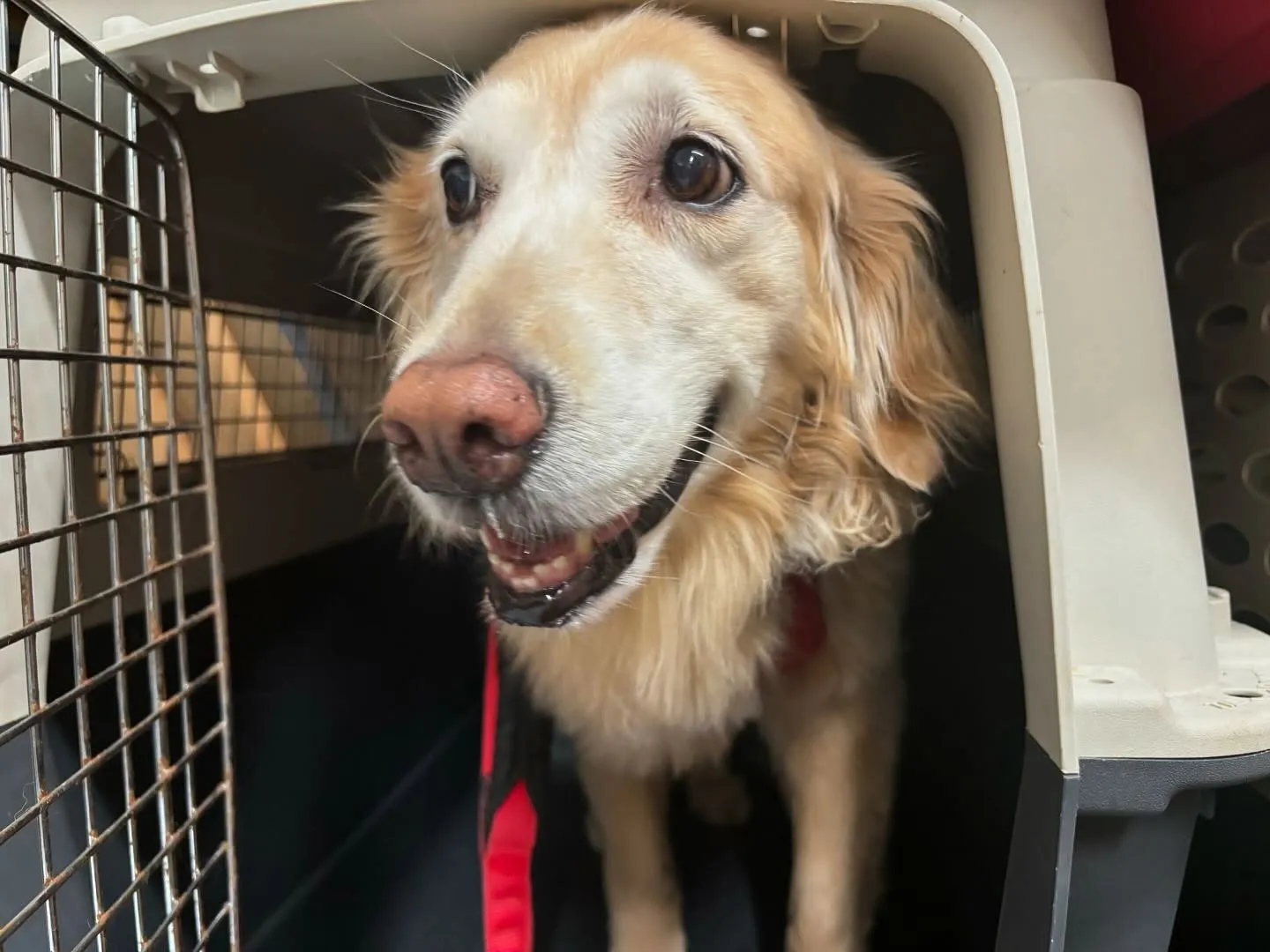 ✨6月のおすすめ商品✨