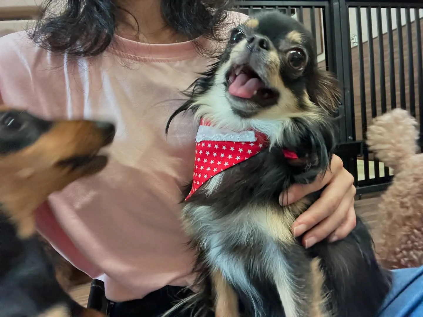 ✨6月のおすすめ商品✨