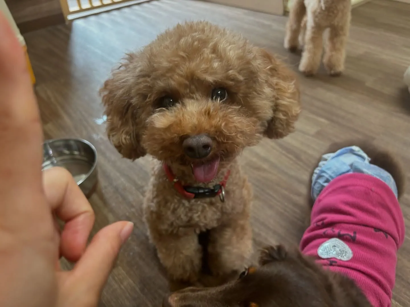 ✨6月のおすすめ商品✨