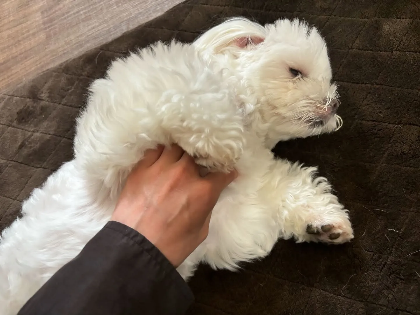 ✨6月のおすすめ商品✨