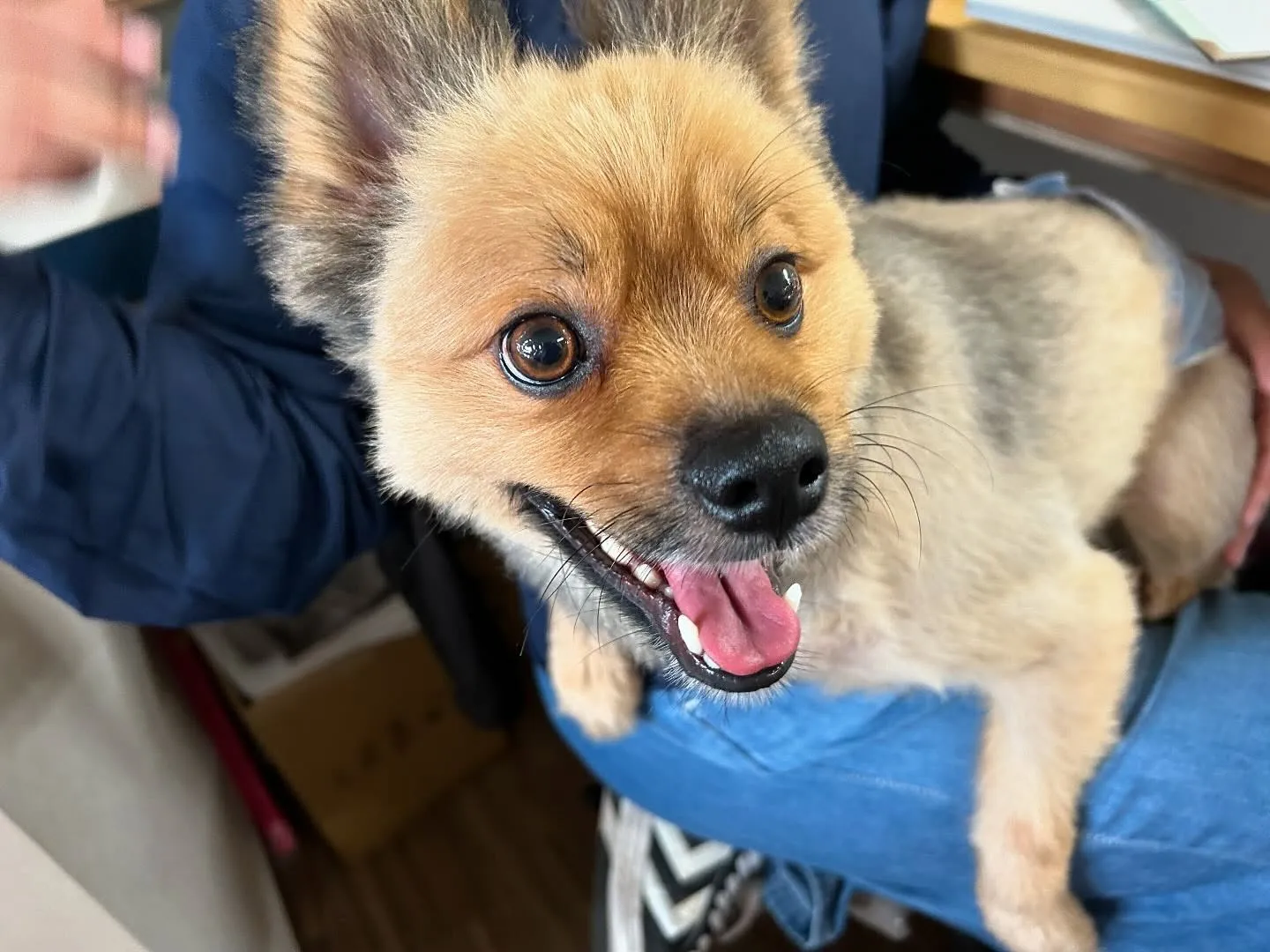 ✨6月のおすすめ商品✨