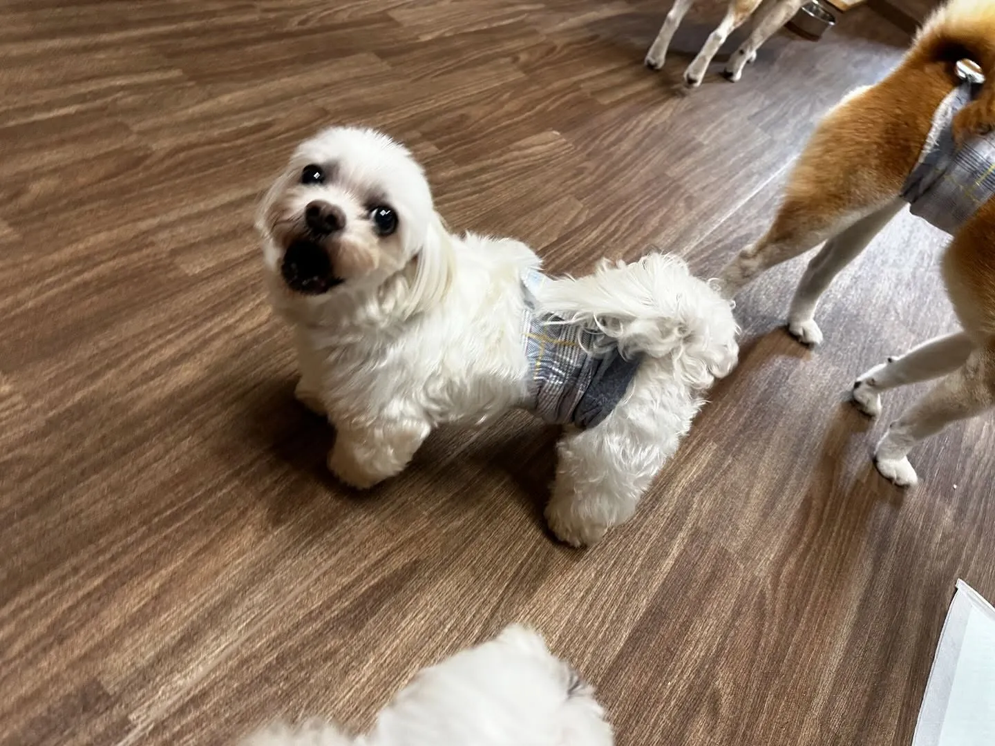 ✨6月のおすすめ商品✨