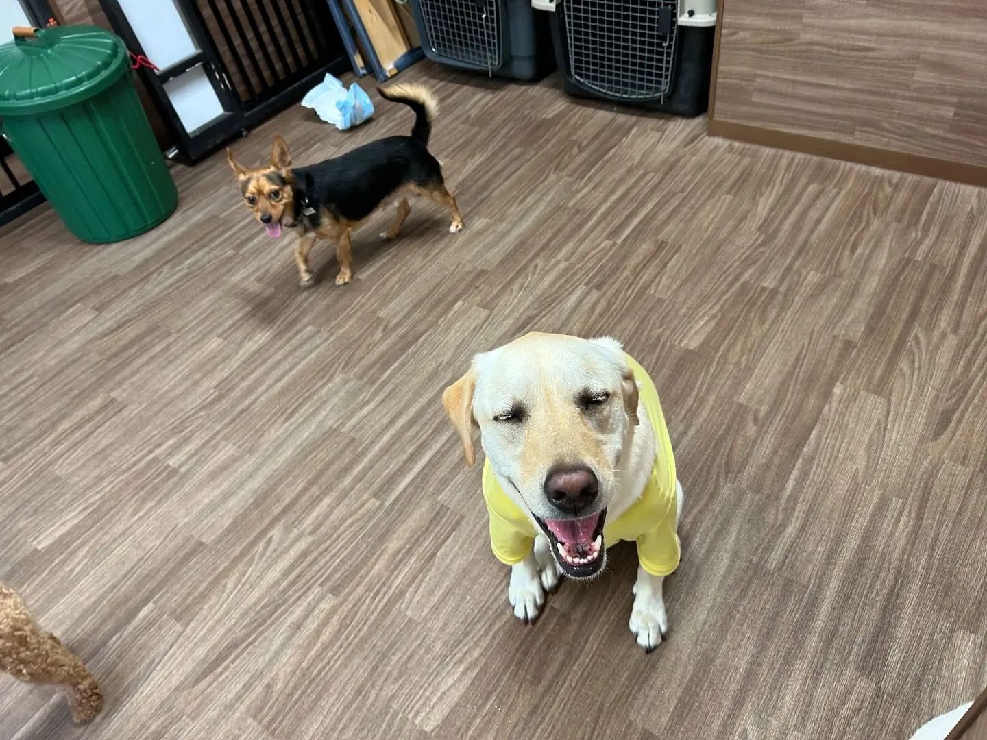 ✨6月のおすすめ商品✨