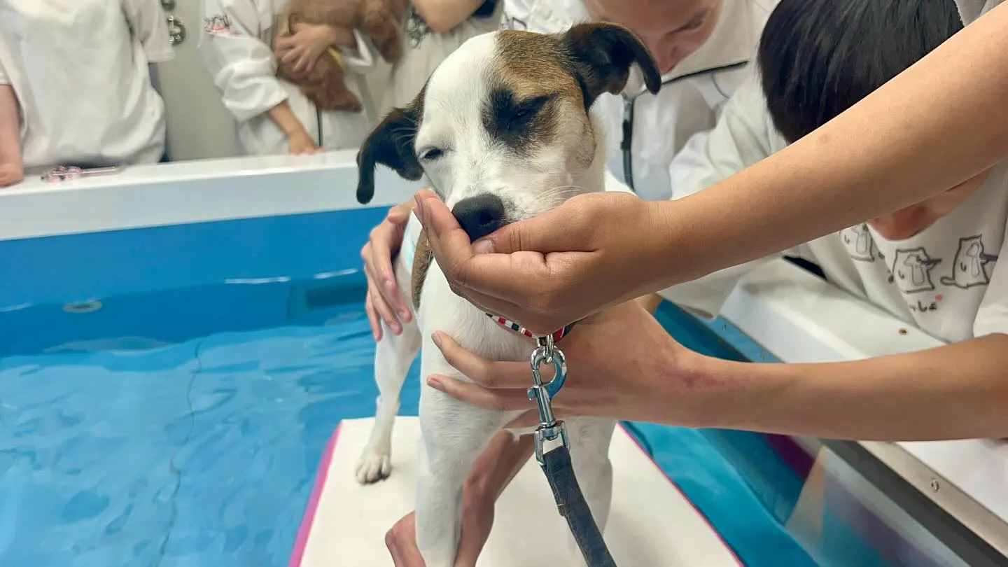 昨日は専門学校day🏫