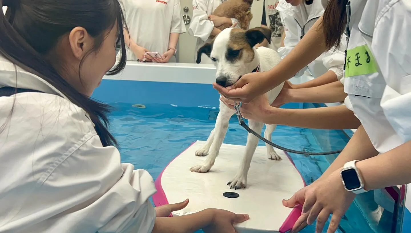 昨日は専門学校day🏫