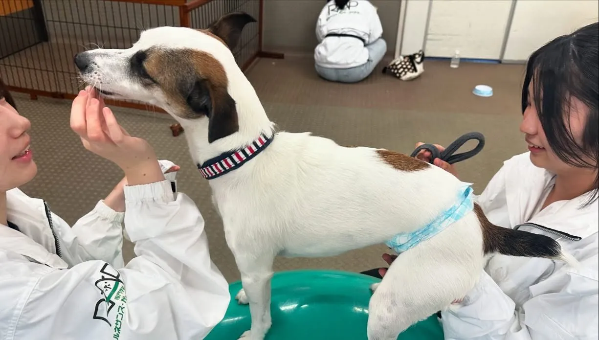 昨日は専門学校day🏫