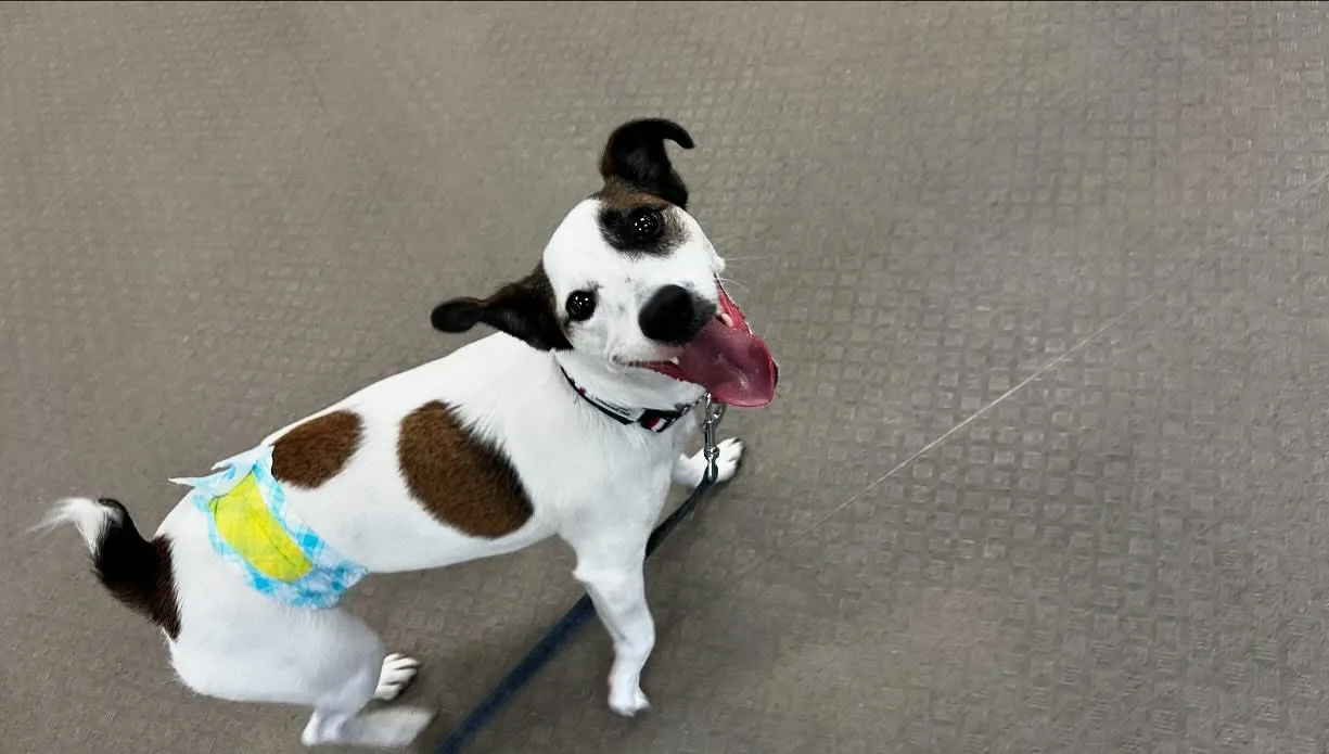 昨日は専門学校day🏫