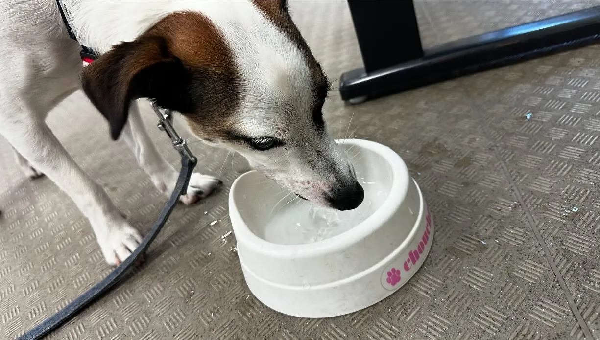 昨日は専門学校day🏫