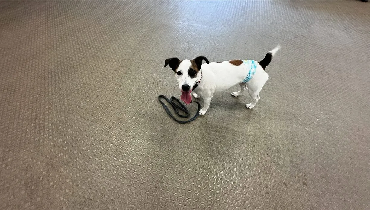 昨日は専門学校day🏫